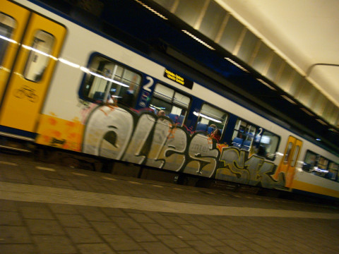 Rotterdam Train Graffiti