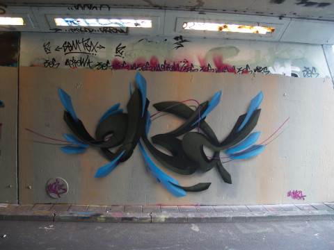 Graffiti Prinses Irene Tunnel - Delft 2009