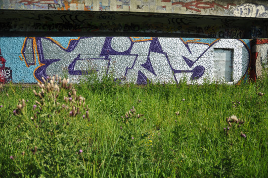 Gins - Rotterdam Graffiti 2011