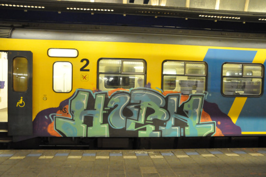Dutch Train Vandalism