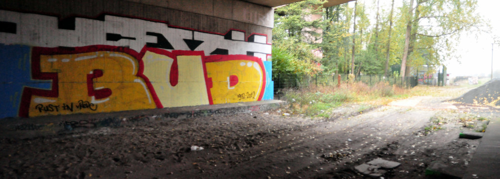 Bud RIP - Rotterdam Graffiti