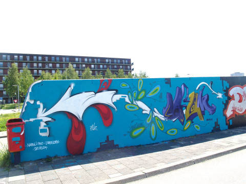 Graffiti Prinses Irene Tunnel - Delft 2009