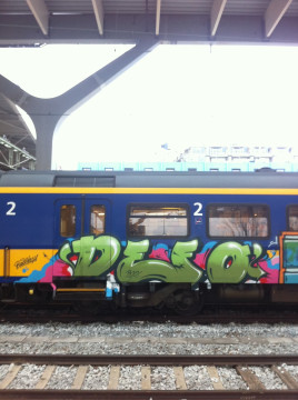 Dutch train vandalism