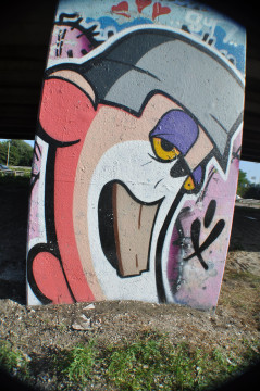 Rotterdam Graffiti 2011