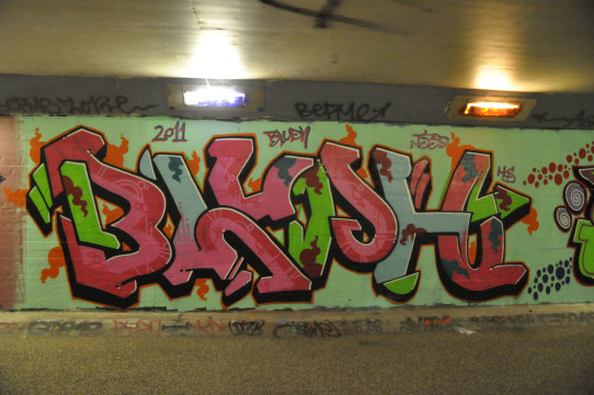 Bluph - Rotterdam graffiti 2011